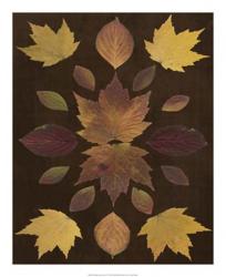 Kaleidoscope Leaves VI | Obraz na stenu