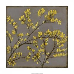 Forsythia I | Obraz na stenu