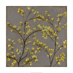 Forsythia II | Obraz na stenu