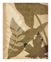 Pressed Leaf Assemblage I | Obraz na stenu