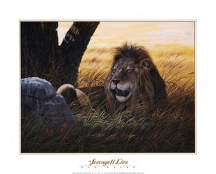 Serengeti Lion | Obraz na stenu