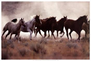 Grassland Herd | Obraz na stenu