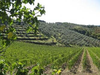 Tuscan Hills | Obraz na stenu