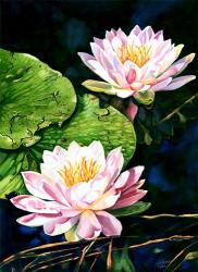 Waterlily Reflections | Obraz na stenu