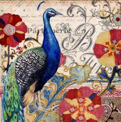 Peacock Decore I | Obraz na stenu
