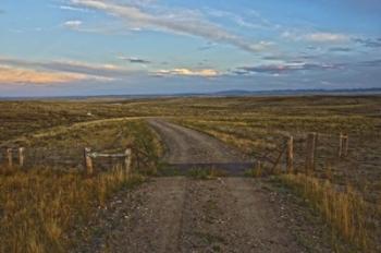 Knowing Which Cattle Guard To Cross | Obraz na stenu