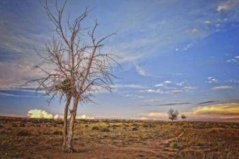 Wyoming High Desert Beauty | Obraz na stenu