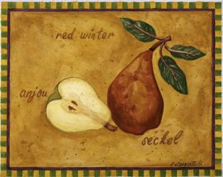 Pear Red Winter Anjou Seckel | Obraz na stenu