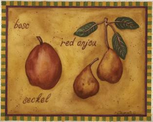 Pears Bosc Red Anjou Seckel | Obraz na stenu