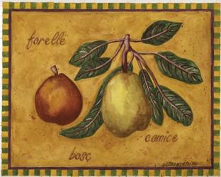 Pears Forelle Bosc Comice | Obraz na stenu