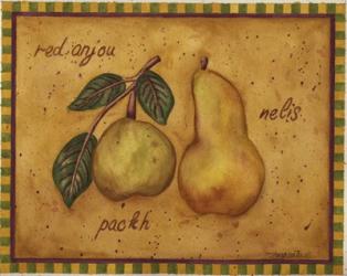 Pears Red Anjou Nelis Packh | Obraz na stenu