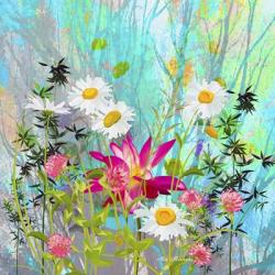 Beautiful Wild Flower 3 | Obraz na stenu