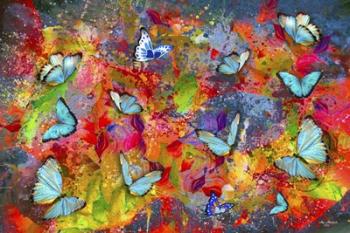 Butterflies Are Colorful | Obraz na stenu
