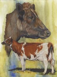Ayrshire Cows | Obraz na stenu