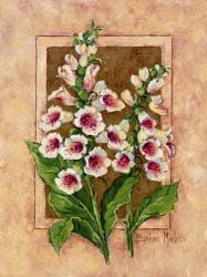 Foxglove Fresco | Obraz na stenu