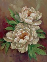 White Peonies II | Obraz na stenu