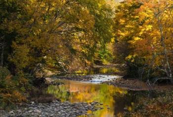 Meandering Colors | Obraz na stenu