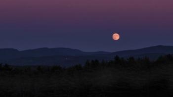 Moon Over Moose Mountain | Obraz na stenu