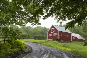 Red Barn | Obraz na stenu