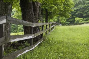 Split Rail Fence | Obraz na stenu