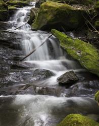 Spring Waters | Obraz na stenu