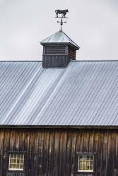 Weathervane | Obraz na stenu