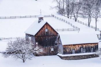 Snow Day on the Farm | Obraz na stenu