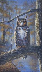 Great Horned Owl | Obraz na stenu