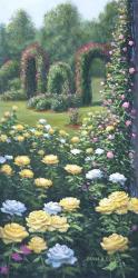 Rose Garden | Obraz na stenu