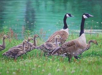 Goose Family Outing | Obraz na stenu