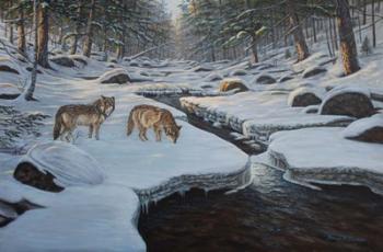 Rocky River Wolves | Obraz na stenu