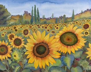 Sunflower Fields | Obraz na stenu