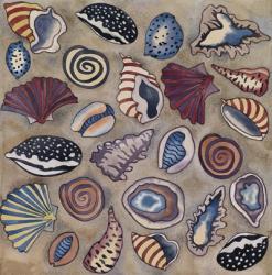 Sea Shells | Obraz na stenu