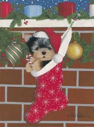 Yorkie Stocking Stuffer | Obraz na stenu