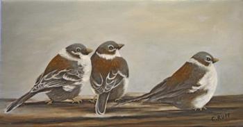 Chickadees on the Deck | Obraz na stenu