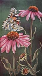 Coneflower with Butterfly | Obraz na stenu