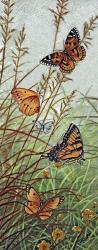 Golden Butterflies | Obraz na stenu