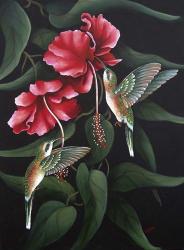 Hummingbird  Duet | Obraz na stenu