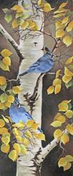 Stellar Jay with Leaves of Gold | Obraz na stenu