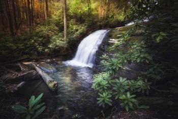 Morning Glow At The Waterfall | Obraz na stenu