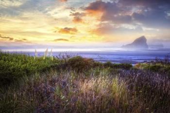 Seastacks At The Dunes | Obraz na stenu