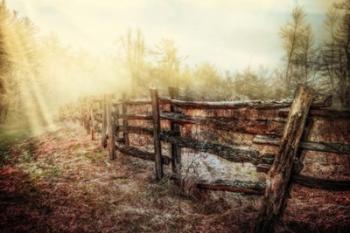 Wood Fences In The Fog | Obraz na stenu