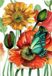 Poppies and Blue Butterfly | Obraz na stenu