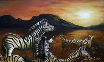 Zebra Sunset | Obraz na stenu