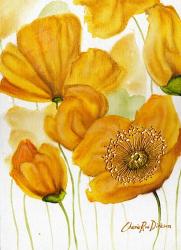 Yellow Poppies | Obraz na stenu