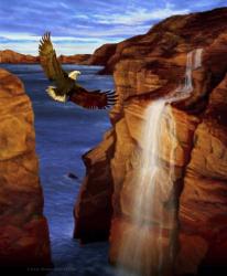 Canyon Eagle | Obraz na stenu