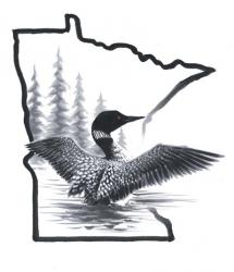 Minnesota Loon | Obraz na stenu