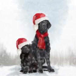 Christmas Dogs | Obraz na stenu