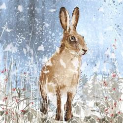 Winter Hare | Obraz na stenu