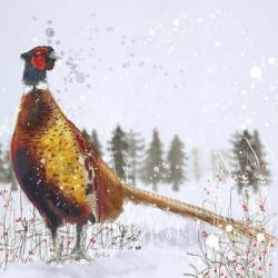 Christmas Pheasant | Obraz na stenu